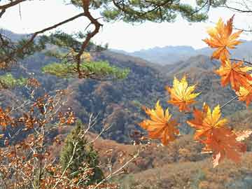 谷歌實(shí)時(shí)翻譯擴(kuò)展程序，科技重塑語(yǔ)言世界，歷史上的 12 月 13 日升級(jí)里程碑事件