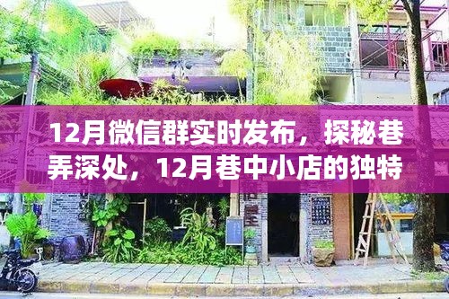 探秘巷弄深處的獨(dú)特風(fēng)情，十二月巷中小店與微信群實(shí)時(shí)發(fā)布之旅