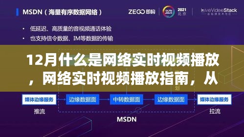 網(wǎng)絡實時視頻播放詳解，從入門到精通的指南（適合初學者與進階用戶）