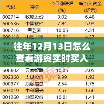 揭秘游資實(shí)時(shí)買(mǎi)入股，掌握往年12月13日股市動(dòng)態(tài)的方法與技巧