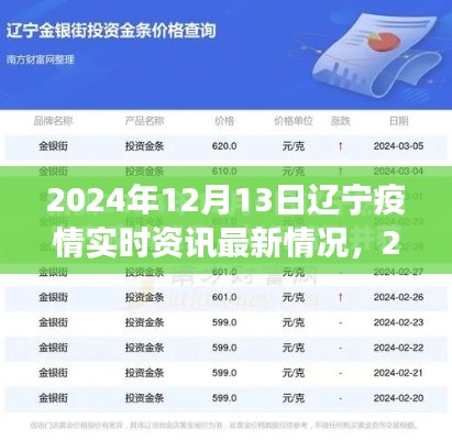 2024年12月13日遼寧疫情最新實時資訊，防控進(jìn)展與應(yīng)對策略聚焦
