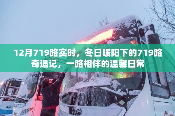 冬日暖陽下的溫馨相伴，719路奇遇記實時追蹤