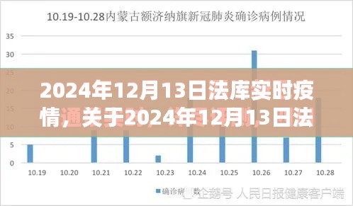 關(guān)于法庫縣實時疫情動態(tài)，全面評測與介紹（日期，2024年12月13日）