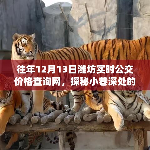 探秘小巷深處的公交情緣，濰坊實(shí)時(shí)公交價(jià)格查詢網(wǎng)故事