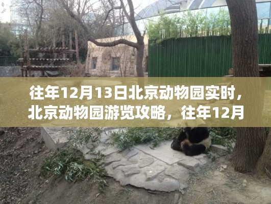 往年12月13日北京動物園游覽攻略，完美體驗指南