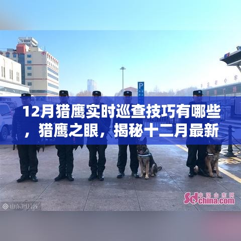 揭秘十二月獵鷹智能巡查系統(tǒng)，實時巡查技巧與高科技魅力展現(xiàn)獵鷹之眼的力量