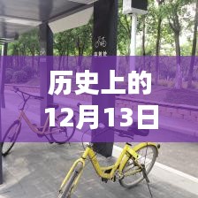 歷史上的實時公交網(wǎng)誕生與發(fā)展回顧，聚焦十二月十三日的重要時刻