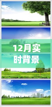 探索自然秘境，12月實(shí)時(shí)背景摳圖素材帶你踏上寧?kù)o之旅
