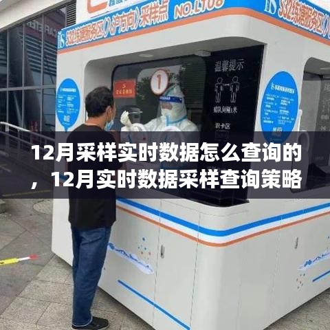 12月實時數(shù)據(jù)采樣與查詢策略解析，多方觀點探討及個人立場