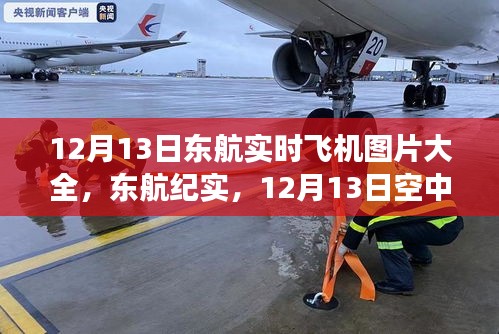 東航實時飛機紀(jì)實，空中巨翼的翱翔與影響，12月13日實拍圖片大全