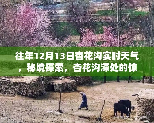 揭秘杏花溝秘境，特色小店與實時天氣探索之旅