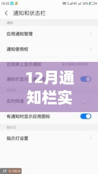 解決12月通知欄實時網(wǎng)速顯示無變化問題，實用指南及初學者進階用戶必看攻略