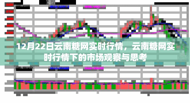 12月22日云南糖網(wǎng)實時行情深度解析，市場觀察與思考