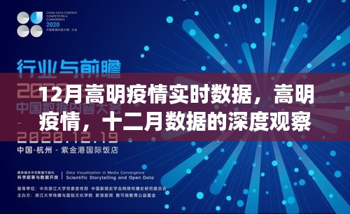 嵩明疫情深度觀察，十二月實時數(shù)據(jù)回顧與影響評估