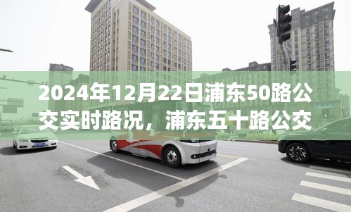 浦東五十路公交實時路況深度評測與體驗報告，浦東五十路公交在2024年12月22日的運營狀態(tài)