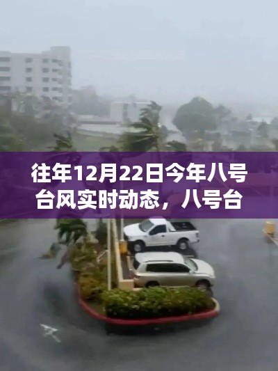八號臺風(fēng)下的溫馨日常，特殊時光的共度與記錄