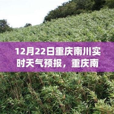 重慶南川天氣預(yù)報(bào)之旅，變化中的學(xué)習(xí)，鑄就自信與力量的未來(lái)