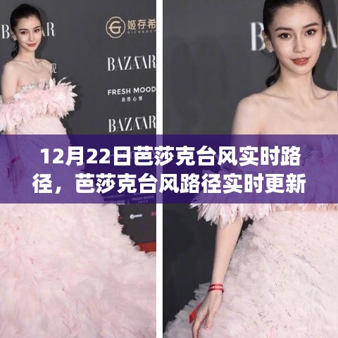 揭秘臺風(fēng)動向，芭莎克臺風(fēng)實時路徑更新與天氣變化掌握