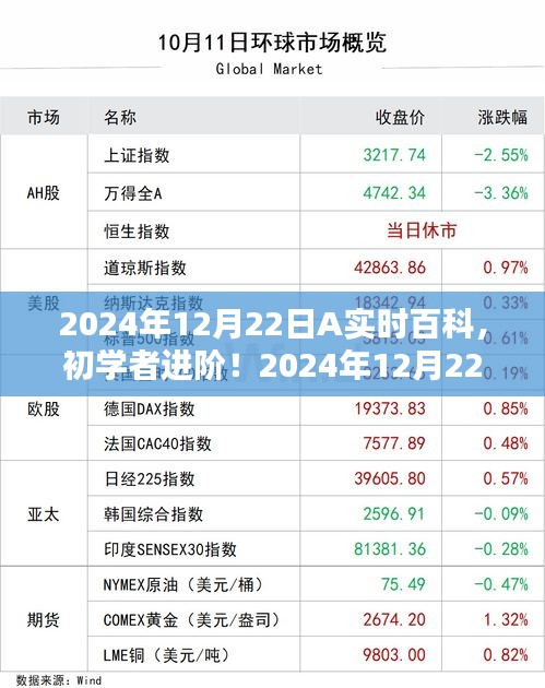 初學(xué)者進(jìn)階！2024年12月22日A實(shí)時(shí)百科使用指南全解析