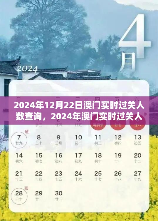 澳門(mén)實(shí)時(shí)過(guò)關(guān)人數(shù)查詢(xún)指南，掌握出入境動(dòng)態(tài)，了解澳門(mén)出入境最新動(dòng)態(tài)（2024年）