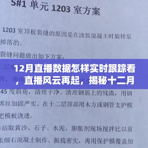 揭秘十二月直播風(fēng)云，實(shí)時(shí)跟蹤數(shù)據(jù)之旅