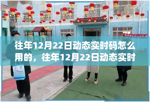 往年12月22日動態(tài)實時碼應用指南，深度操作與實用技巧