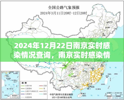 南京實(shí)時(shí)感染情況深度解析與觀點(diǎn)闡述，2024年12月22日最新數(shù)據(jù)報(bào)告