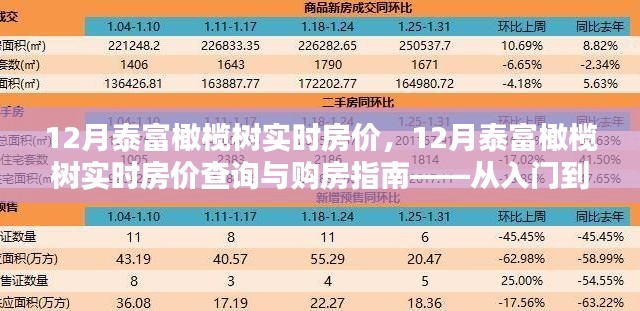 12月泰富橄欖樹(shù)實(shí)時(shí)房?jī)r(jià)詳解，購(gòu)房指南與查詢攻略