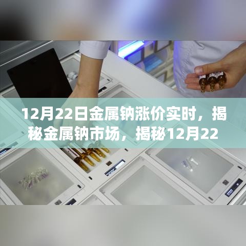 揭秘金屬鈉市場，漲價背后的實時動態(tài)（12月22日更新）