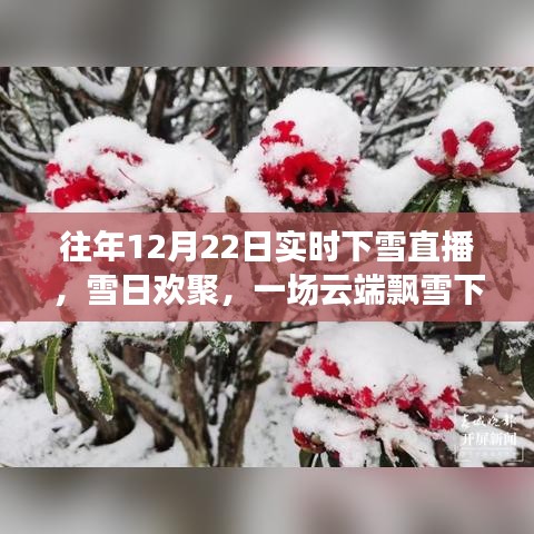 云端飄雪下的歡聚時光，12月22日實時下雪直播日常