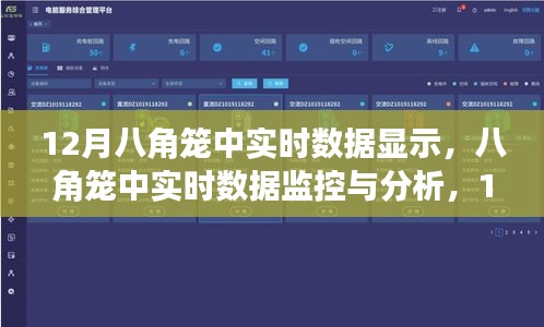 12月八角籠中實(shí)時(shí)數(shù)據(jù)監(jiān)控與分析，操作指南及數(shù)據(jù)解讀