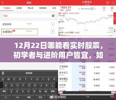 12月22日實(shí)時(shí)股票行情查看指南，適合初學(xué)者與進(jìn)階用戶的詳細(xì)步驟