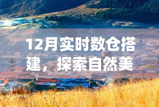 寧靜冬日里的探索之旅，實時數(shù)倉搭建與心靈的自然美景之旅