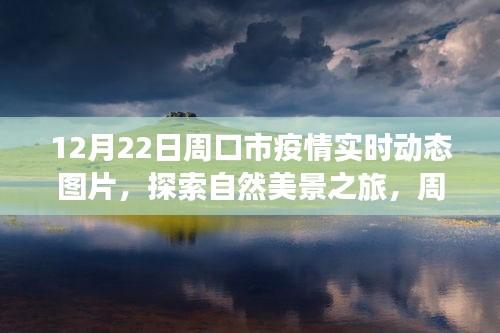 周口市疫情實(shí)時(shí)動(dòng)態(tài)圖片，探索自然美景與微笑力量的寧?kù)o角落之旅