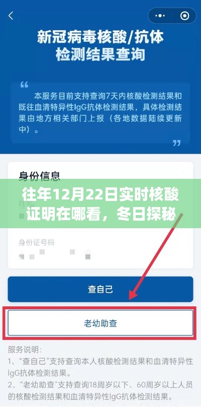 冬日探秘，尋找往年12月22日核酸證明的小故事與實時查詢攻略