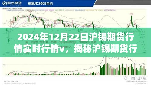 揭秘滬錫期貨行情，深度解讀實時走勢與市場機(jī)遇挑戰(zhàn)（2024年12月22日）