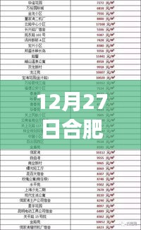 合肥熱門音樂(lè)報(bào)價(jià)表背后的自然之旅，尋找心靈的寧?kù)o與和諧在12月27日