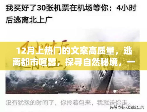 探尋自然秘境，心靈之旅，逃離都市喧囂的十二月熱門文案