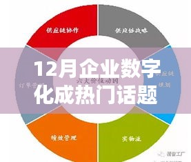 熱門(mén)話題聚焦，企業(yè)數(shù)字化全面評(píng)測(cè)與介紹