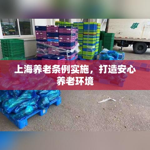 上海養(yǎng)老條例實(shí)施，打造安心養(yǎng)老環(huán)境