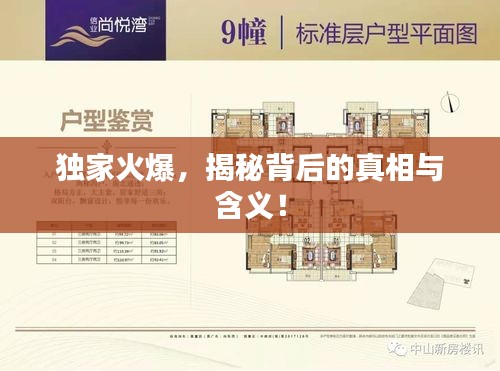獨(dú)家火爆，揭秘背后的真相與含義！