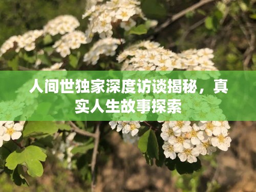 人間世獨(dú)家深度訪(fǎng)談揭秘，真實(shí)人生故事探索