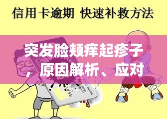 突發(fā)臉頰癢起疹子，原因解析、應(yīng)對方法與預(yù)防策略