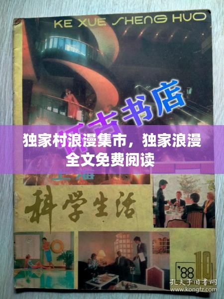獨家村浪漫集市，獨家浪漫全文免費閱讀 