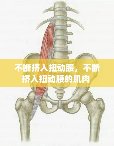 不斷擠入扭動腰，不斷擠入扭動腰的肌肉 