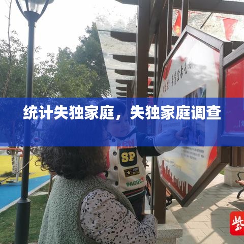統(tǒng)計失獨家庭，失獨家庭調(diào)查 