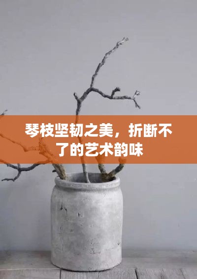 琴枝堅韌之美，折斷不了的藝術(shù)韻味