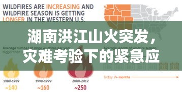 湖南洪江山火突發(fā)，災(zāi)難考驗(yàn)下的緊急應(yīng)對(duì)與社會(huì)反思挑戰(zhàn)