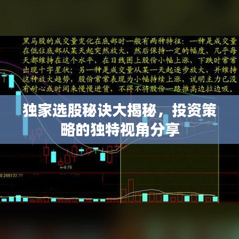 獨家選股秘訣大揭秘，投資策略的獨特視角分享
