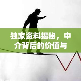 獨(dú)家資料揭秘，中介背后的價(jià)值與操作策略探討